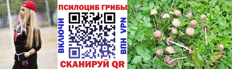 Галлюциногенные грибы мицелий  Олёкминск 